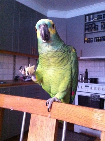 20120121-103015.jpg