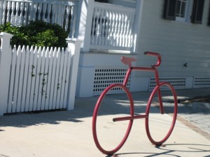 IMG_8911.JPG