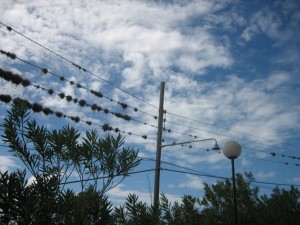 IMG_89922.jpg